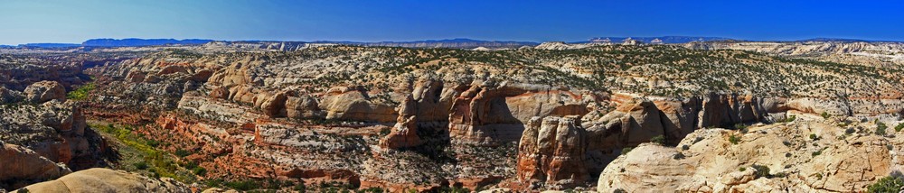 Pano-2009-10-06-1x-1000