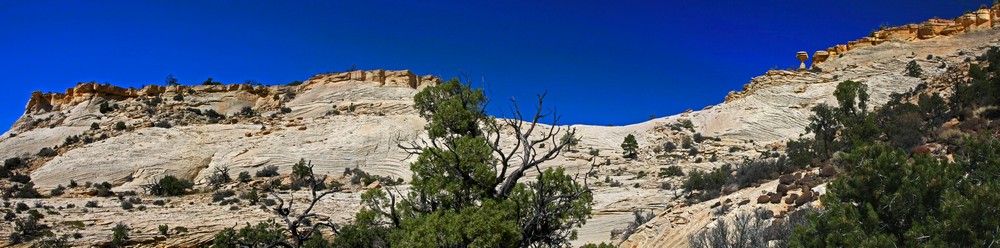 Pano-2009-10-06-3x-1000